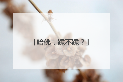 哈佛，跪不跪？